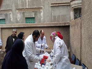 جامعة بنها تنظم قافلة بيطرية مجانية لقرية الشقر بكفر شكر