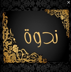 ندوة عن &quot; آلية منع الغش في الامتحانات &quot;