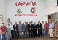 رئيس جامعة بنها يتفقد الامتحانات ومزارع الإنتاج الحيواني بكلية الطب البيطري